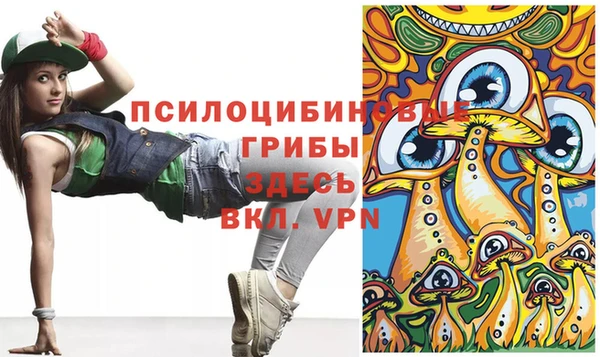 крисы Беломорск