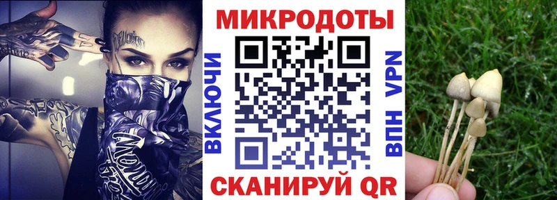 Галлюциногенные грибы Magic Shrooms  Мглин 